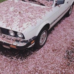 TONY PLEASE (FEAT.QUESO) - Boy Like Me Suppose To Die On These Streets
