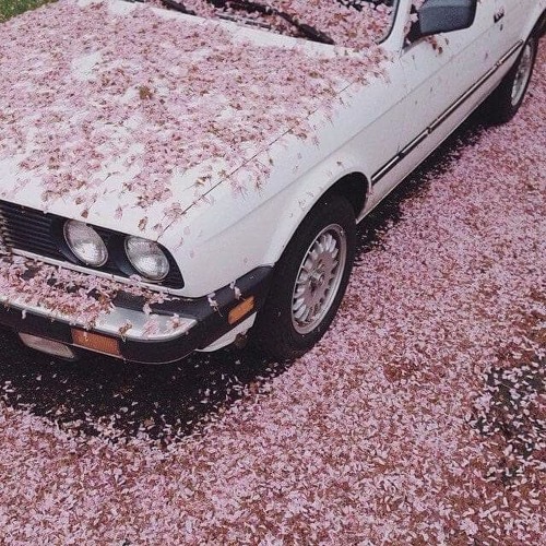 TONY PLEASE (FEAT.QUESO) - Boy Like Me Suppose To Die On These Streets