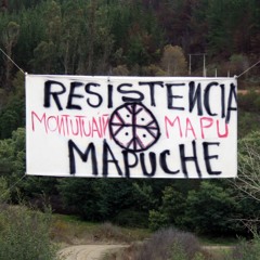 Werken Alcaman habla sobre proceso de Recuperación Territorial y Mingako en predio forestal