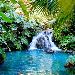 Tropical Waterfalls - IAMKRT