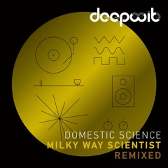 Domestic Science - Despair and Distance (Alvaro Hylander Remix)