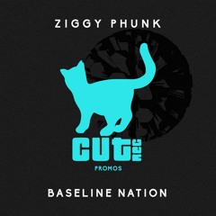 Ziggy Phunk - Baseline Nation [CUT REC] *snippet* OUT NOW TRAXSOURCE PROMO