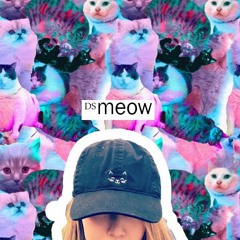 meow ( Prod by - DavidSan )