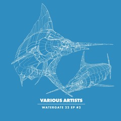Catz 'N Dogz & Yotam Avni - Blakkat
