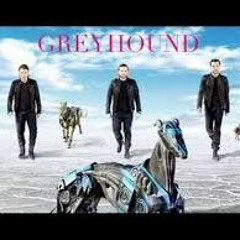 GREYHOUND - Swedish House Mafia ( Aldo Rework )