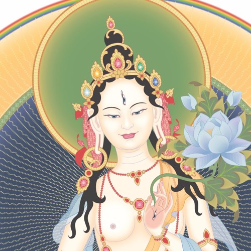 Tonglen Meditation 1