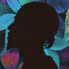 Cling Wrap Freestyle