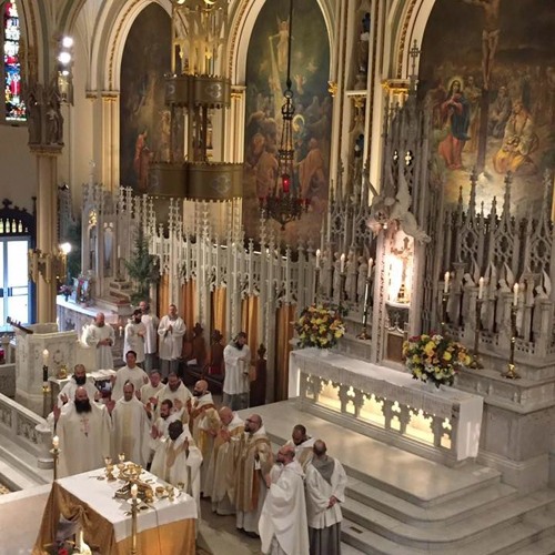 Stream First Mass Homily by From the Friars | Listen online for free on ...