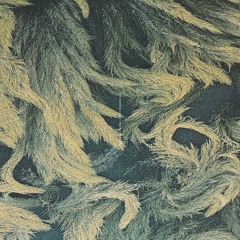 JUNE 2017 SUMMER JAMZ