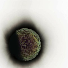 Waiting for the new world