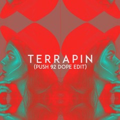 Bonobo - Terrapin (Push 92 Dope Edit)