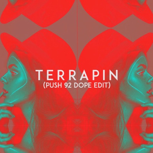 Bonobo - Terrapin (Push 92 Dope Edit)