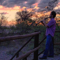 Fantasia, for harp and clarinet (2008)