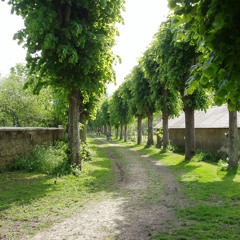 Illiers combray soundwalk