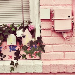 Don't Know Why (Norah Jones Cover)- Maita Pelea