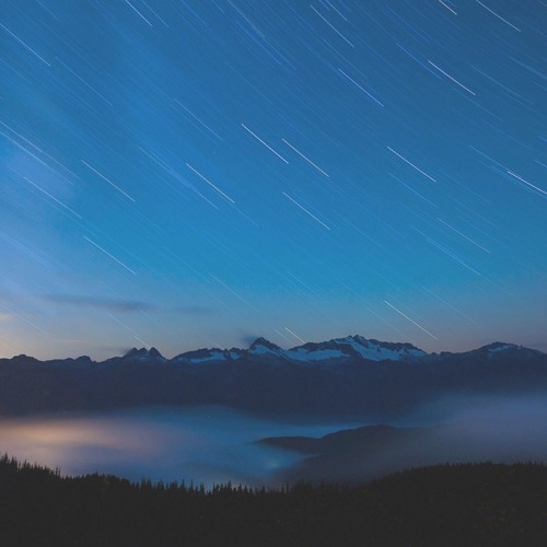 forbidden dreams