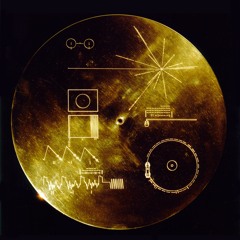 Voyager 303