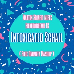 Martin Solveig Meets Elektrochemie LK - Intoxicated Schall ( Felix Garanty Mashup )