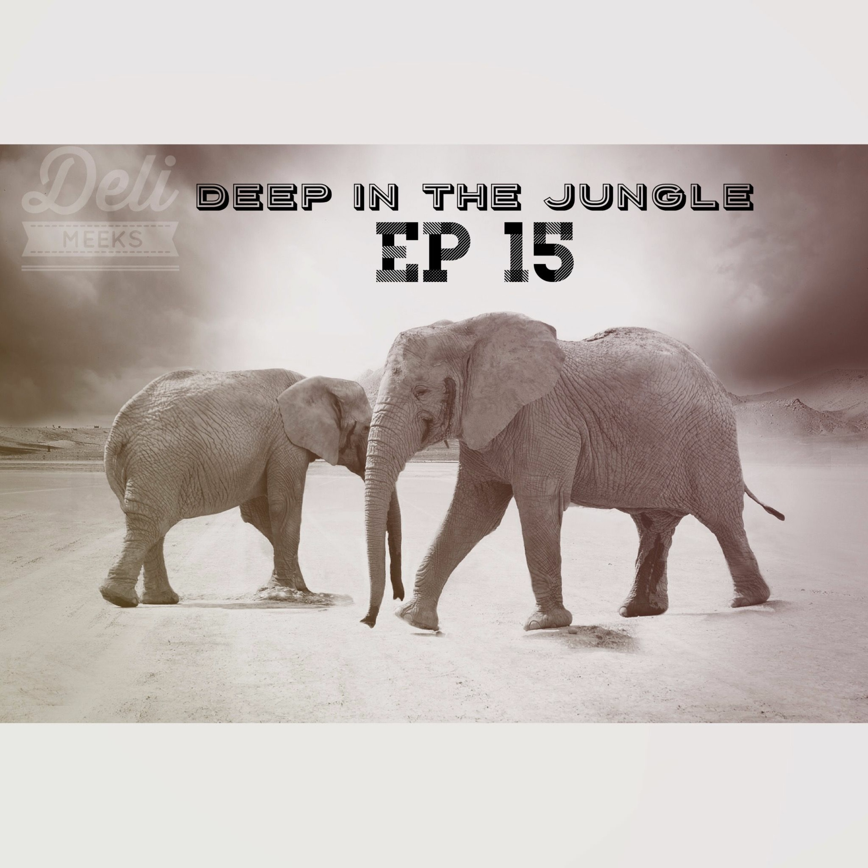 Deep In The Jungle Ep 15: At The Zoo