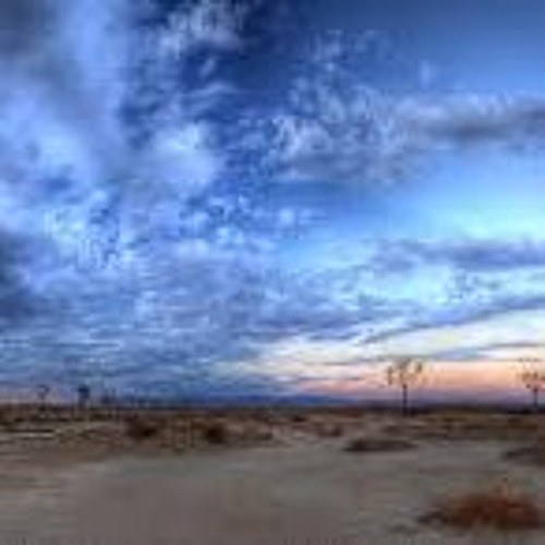 Adrian Felix x No Names x Syndrome