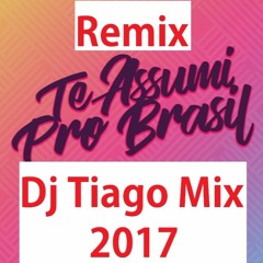Tiago Mix - Te Assumi Pro Brasil [ Vs Remix Tiago Mix ]