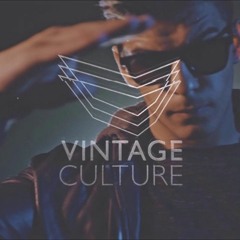 Vintage Culture X Therr Maitz - ID (Roam Remix)
