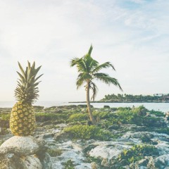 Palm Trees Ft. Jowski