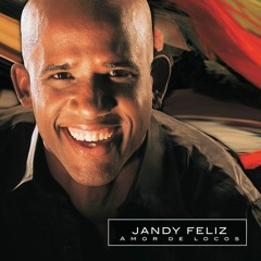 Si Tú Me Dejas Volver - Jandy Feliz