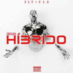 11.Ambicioso - FLY-FLO ft Telmo MC