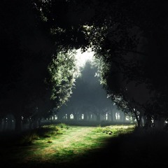 Outta The Dark - Mposter x SyNchro