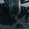 Movie Men Aliens Covenant Mp3