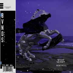 What So Not - Montreal (Ft Kimbra) (BVNDS Remix)