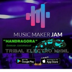 Mandragora Mantra Dj;Edw Arc / Pamplona - COL