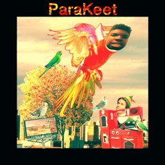 ParaKeet 2017