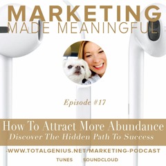 episode #17: How To Attract More Abundance Into Your Business And Life