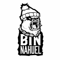 Bin Nahuel - Flagelando Paginas (feat. DJ Ropo)