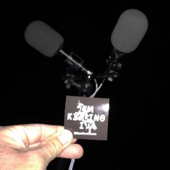 Spafford- 5 - 27 - 2017 - Wind Rider Mountain Festival