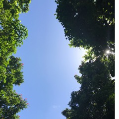 Wisdom beyond age// prod Huey Mantra