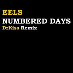 Eels - Numbered Days (DrKiss Remix)