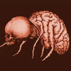 Area 23 - Virus Mortel(Acid / mental)