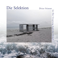 Der Augenblick