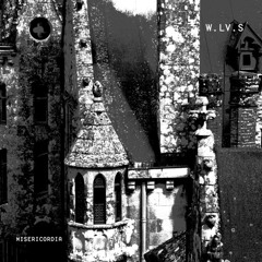 W.LV.S (Electric Rescue & The Driver) - Misericordia - [AR08]