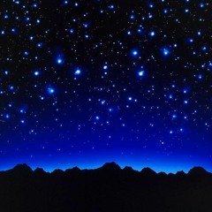 REACHIING THE STARS BY LITTLE STEPS