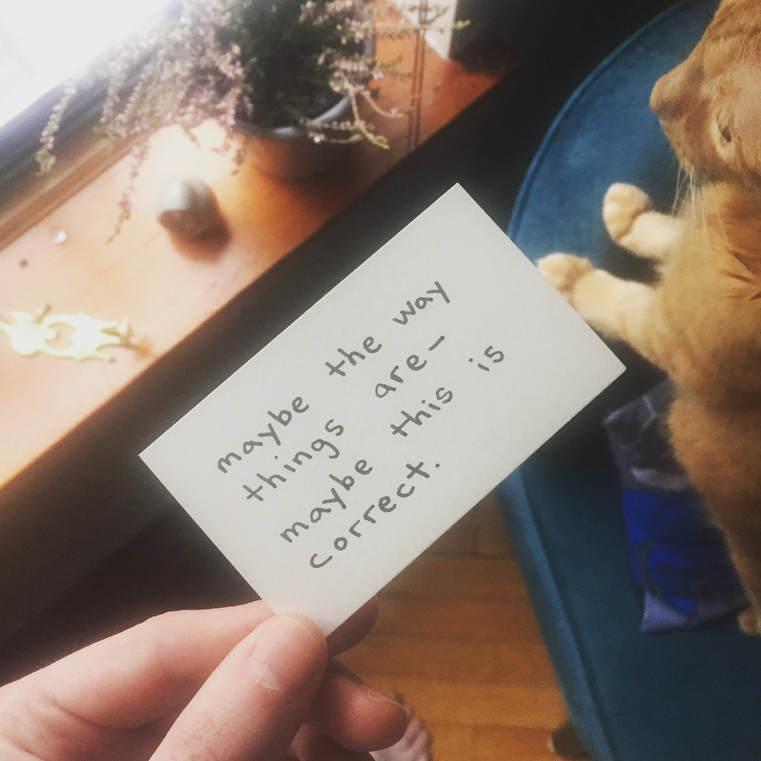 Episode 77: What It Really Feels Like