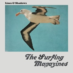 The Surfing Magazines - Lines and Shadows