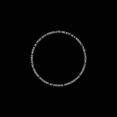 SELECT W29 / CHAMBRY, DJ DIFFERENT, ISLANDMAN, AND MORE