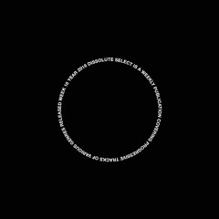 SELECT W16 / PARADISO RHYTHM, TOCHIGI CANOPY, DANIEL KLAUSER AND MORE