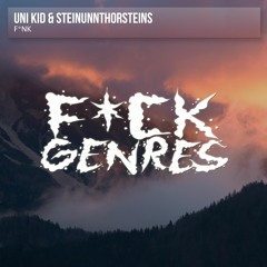 UNI KID & Steinunnthorsteins - F*nk