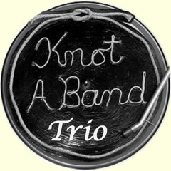 Keep me in your heart for awhile- Zevon Live Cover