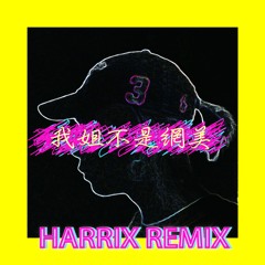 高浩哲-我姐不是網美(Harrix remix)